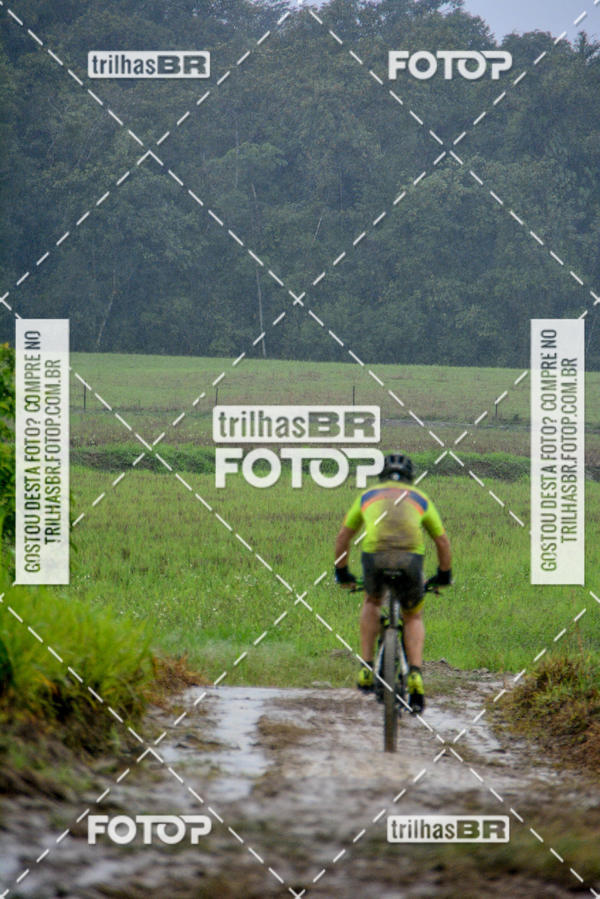 Buy your photos of the eventCircuito Soul de Mountain Bike 2017 - Joinville - SC on Fotop