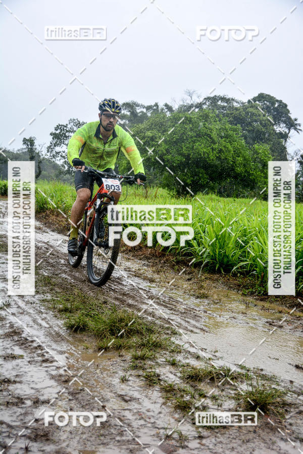Buy your photos of the eventCircuito Soul de Mountain Bike 2017 - Joinville - SC on Fotop