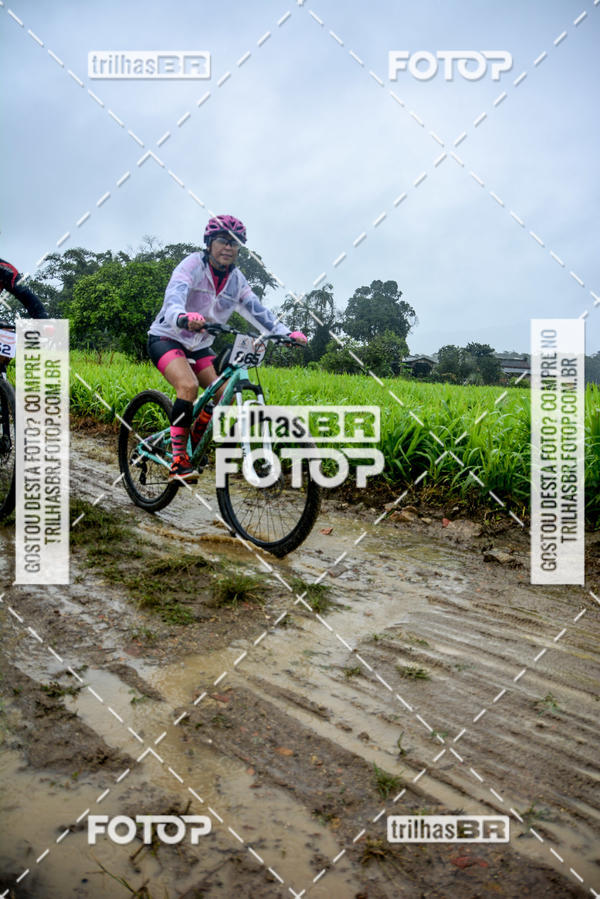 Buy your photos of the eventCircuito Soul de Mountain Bike 2017 - Joinville - SC on Fotop