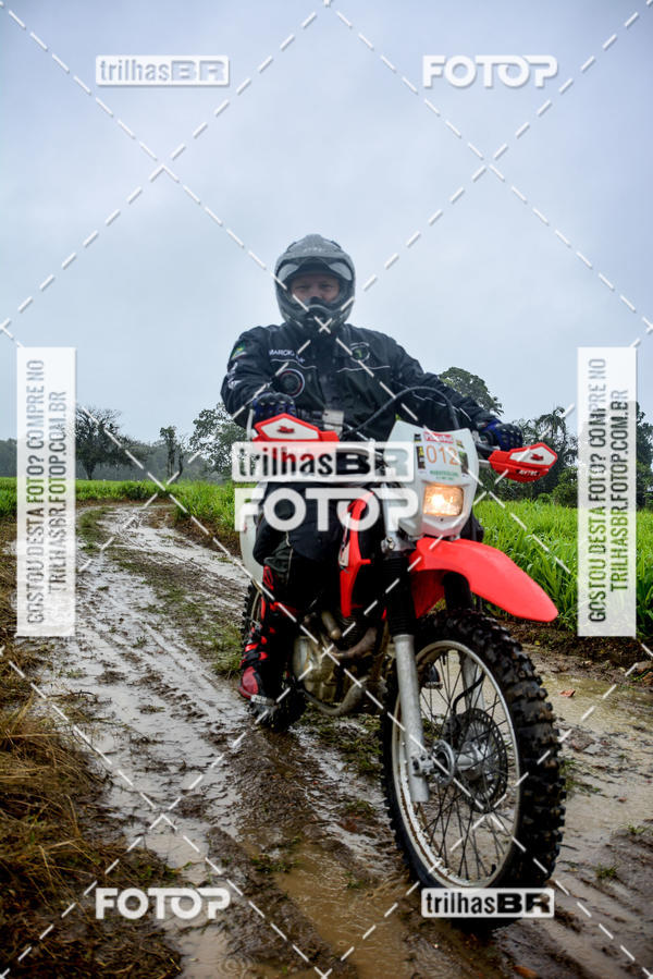 Buy your photos of the eventCircuito Soul de Mountain Bike 2017 - Joinville - SC on Fotop