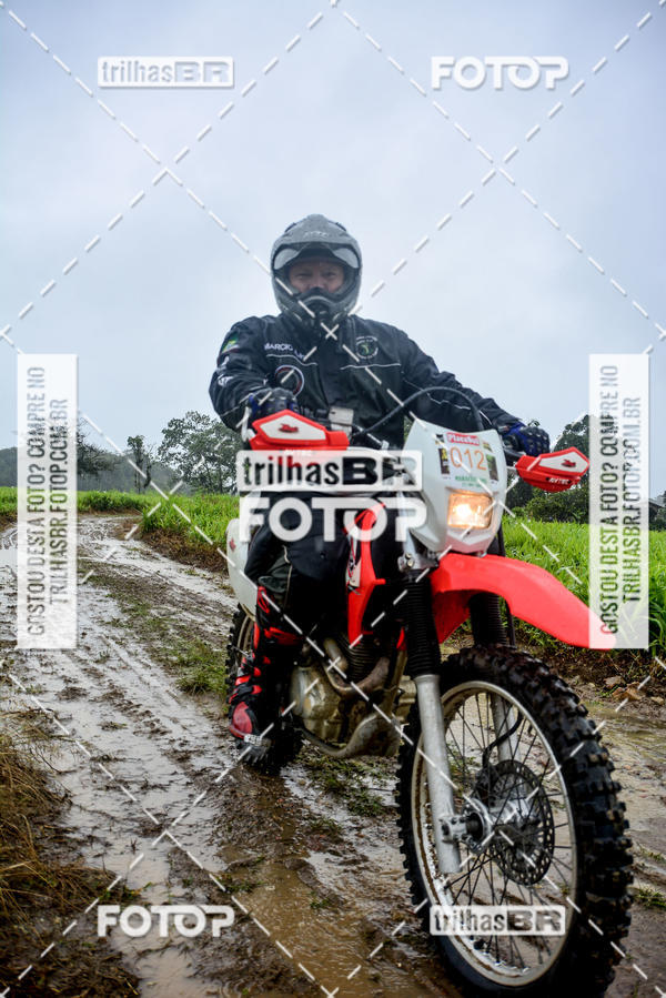 Buy your photos of the eventCircuito Soul de Mountain Bike 2017 - Joinville - SC on Fotop