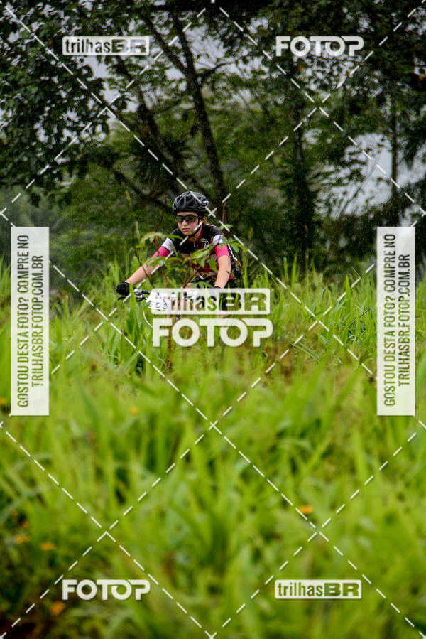 Buy your photos of the eventCircuito Soul de Mountain Bike 2017 - Joinville - SC on Fotop