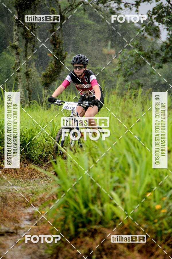 Buy your photos of the eventCircuito Soul de Mountain Bike 2017 - Joinville - SC on Fotop