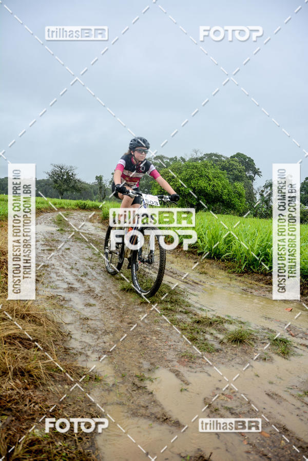 Buy your photos of the eventCircuito Soul de Mountain Bike 2017 - Joinville - SC on Fotop