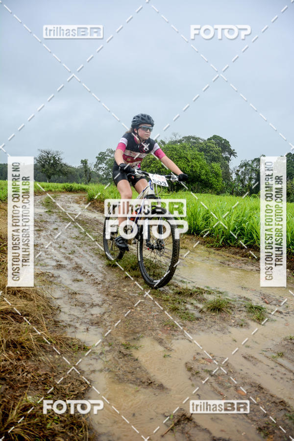 Buy your photos of the eventCircuito Soul de Mountain Bike 2017 - Joinville - SC on Fotop