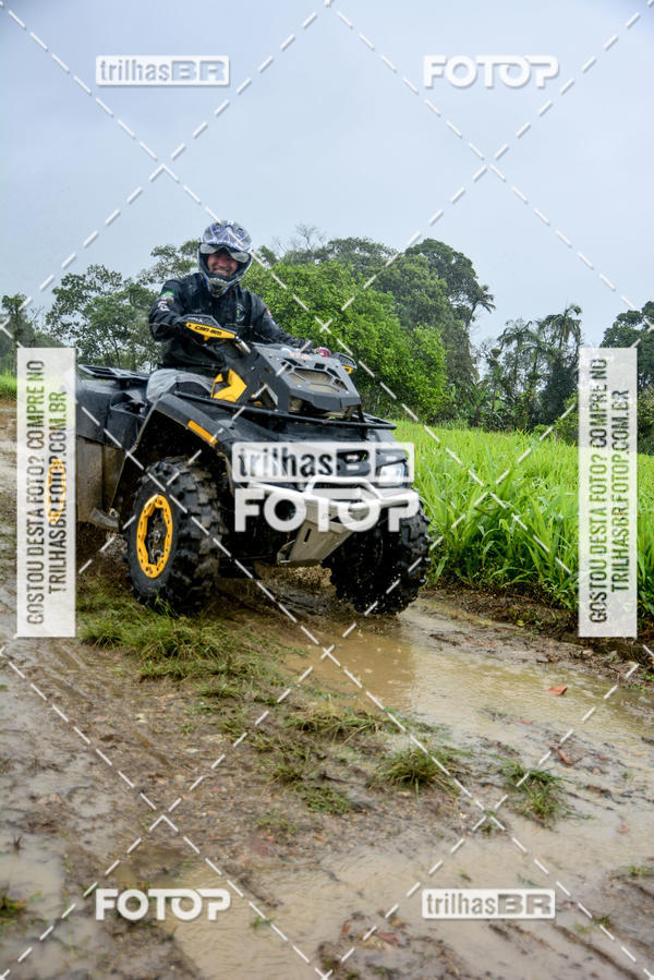 Buy your photos of the eventCircuito Soul de Mountain Bike 2017 - Joinville - SC on Fotop