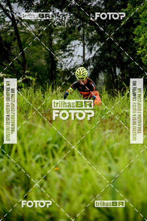 Buy your photos of the eventCircuito Soul de Mountain Bike 2017 - Joinville - SC on Fotop