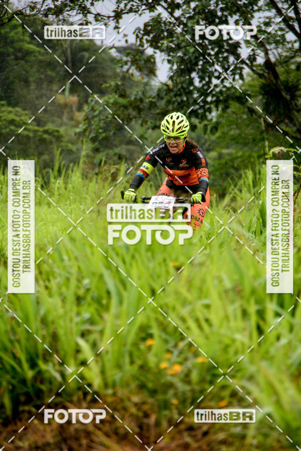 Buy your photos of the eventCircuito Soul de Mountain Bike 2017 - Joinville - SC on Fotop