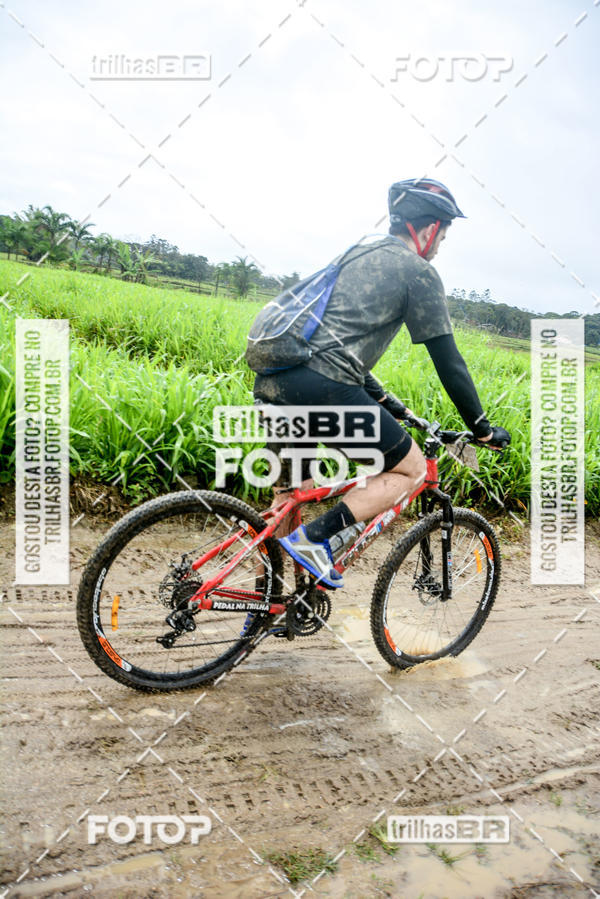 Buy your photos of the eventCircuito Soul de Mountain Bike 2017 - Joinville - SC on Fotop