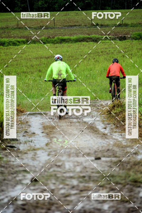 Buy your photos of the eventCircuito Soul de Mountain Bike 2017 - Joinville - SC on Fotop