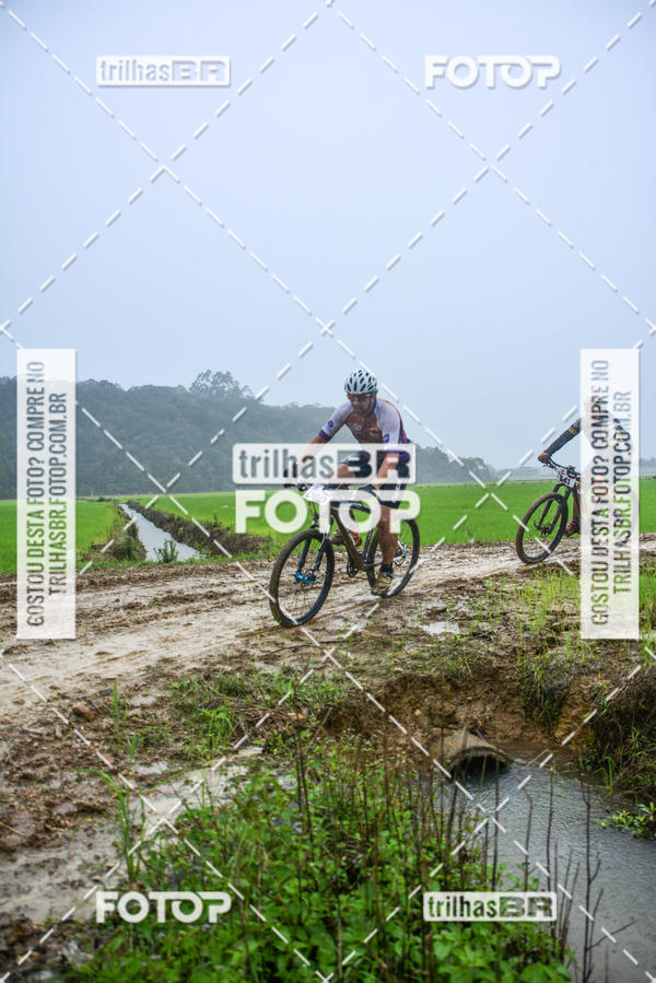 Buy your photos of the eventCircuito Soul de Mountain Bike 2017 - Joinville - SC on Fotop