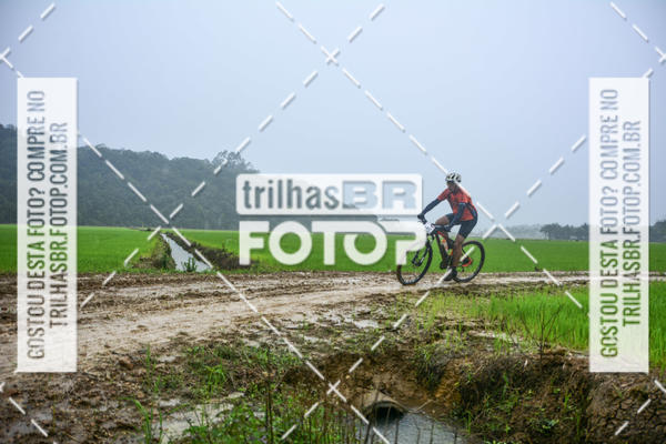 Buy your photos of the eventCircuito Soul de Mountain Bike 2017 - Joinville - SC on Fotop