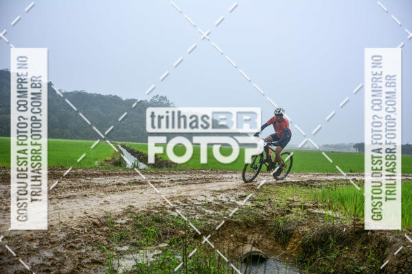Buy your photos of the eventCircuito Soul de Mountain Bike 2017 - Joinville - SC on Fotop