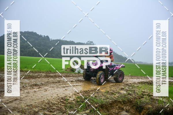 Buy your photos of the eventCircuito Soul de Mountain Bike 2017 - Joinville - SC on Fotop