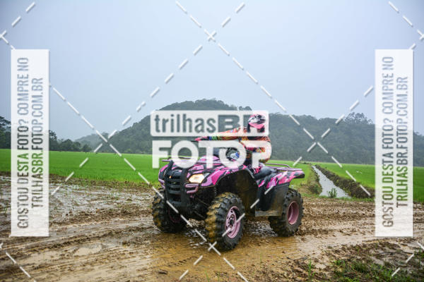 Buy your photos of the eventCircuito Soul de Mountain Bike 2017 - Joinville - SC on Fotop