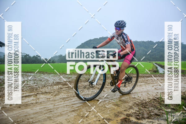 Buy your photos of the eventCircuito Soul de Mountain Bike 2017 - Joinville - SC on Fotop