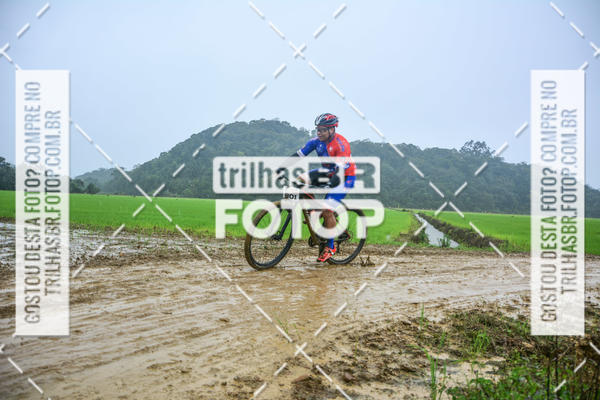 Buy your photos of the eventCircuito Soul de Mountain Bike 2017 - Joinville - SC on Fotop