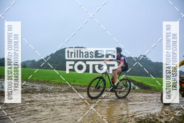 Buy your photos of the eventCircuito Soul de Mountain Bike 2017 - Joinville - SC on Fotop