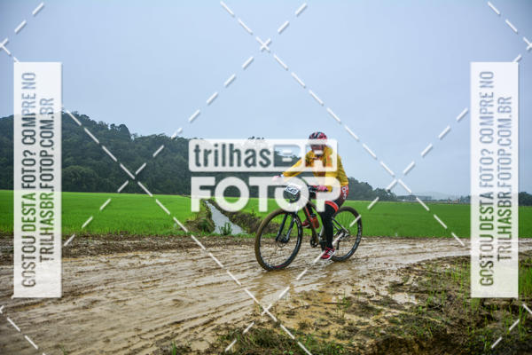 Buy your photos of the eventCircuito Soul de Mountain Bike 2017 - Joinville - SC on Fotop