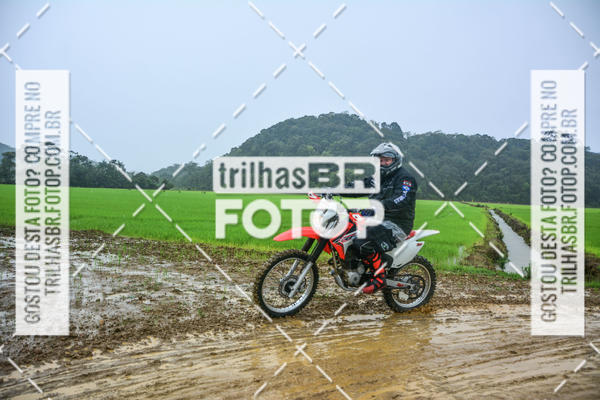 Buy your photos of the eventCircuito Soul de Mountain Bike 2017 - Joinville - SC on Fotop