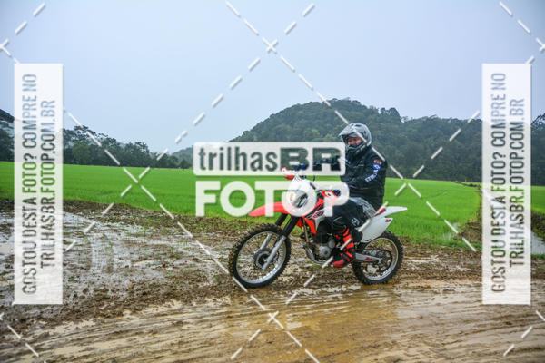 Buy your photos of the eventCircuito Soul de Mountain Bike 2017 - Joinville - SC on Fotop