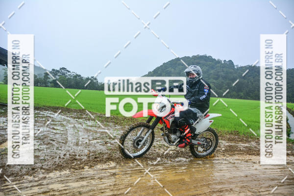 Buy your photos of the eventCircuito Soul de Mountain Bike 2017 - Joinville - SC on Fotop