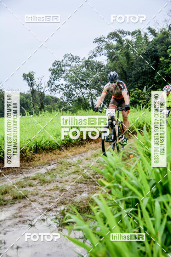 Buy your photos of the eventCircuito Soul de Mountain Bike 2017 - Joinville - SC on Fotop
