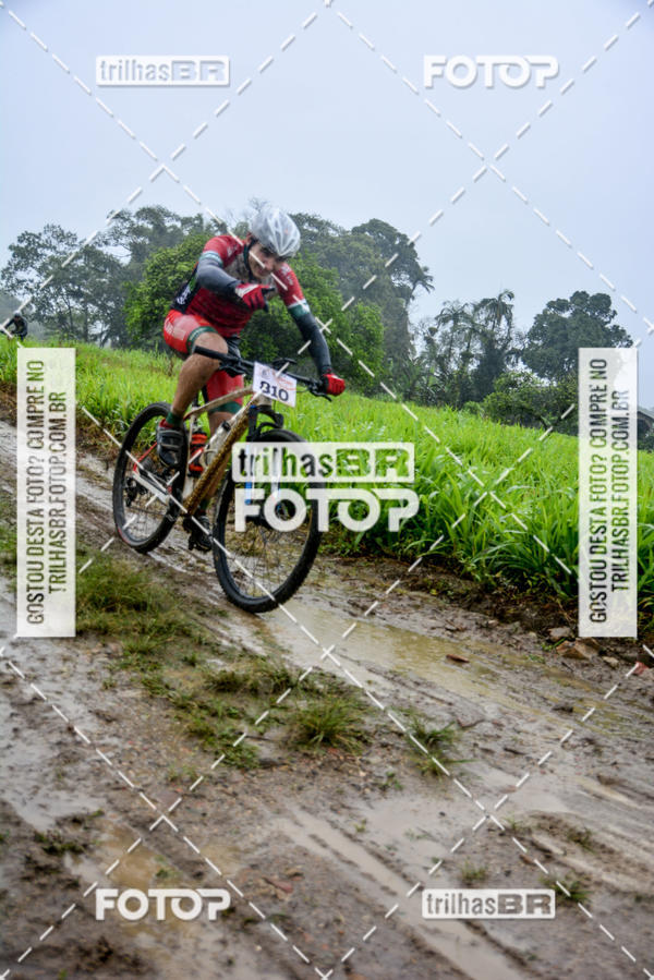Buy your photos of the eventCircuito Soul de Mountain Bike 2017 - Joinville - SC on Fotop
