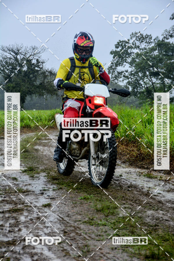 Buy your photos of the eventCircuito Soul de Mountain Bike 2017 - Joinville - SC on Fotop