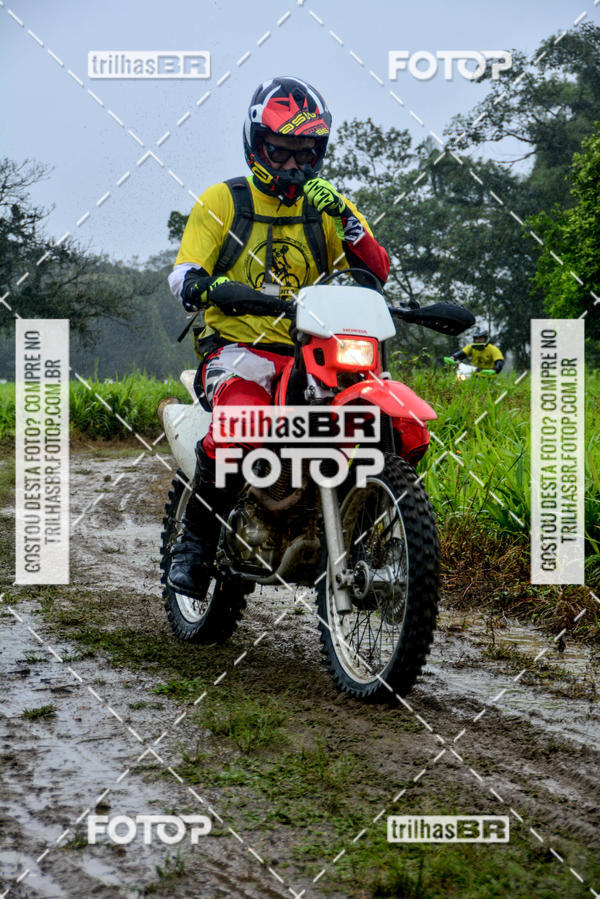 Buy your photos of the eventCircuito Soul de Mountain Bike 2017 - Joinville - SC on Fotop
