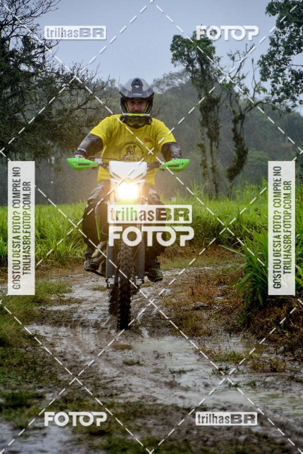 Buy your photos of the eventCircuito Soul de Mountain Bike 2017 - Joinville - SC on Fotop