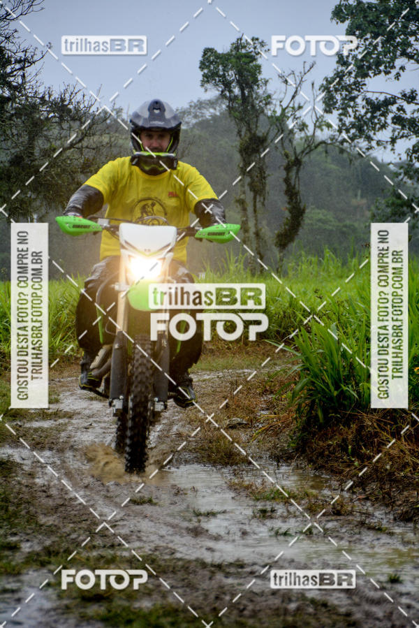 Buy your photos of the eventCircuito Soul de Mountain Bike 2017 - Joinville - SC on Fotop