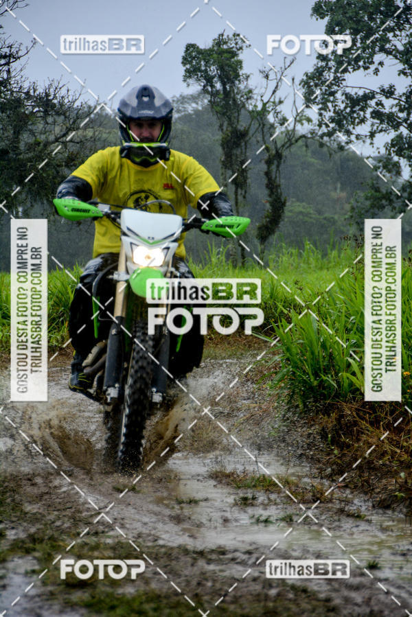Buy your photos of the eventCircuito Soul de Mountain Bike 2017 - Joinville - SC on Fotop