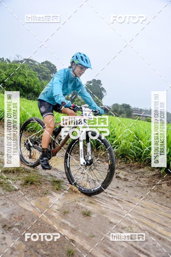 Buy your photos of the eventCircuito Soul de Mountain Bike 2017 - Joinville - SC on Fotop