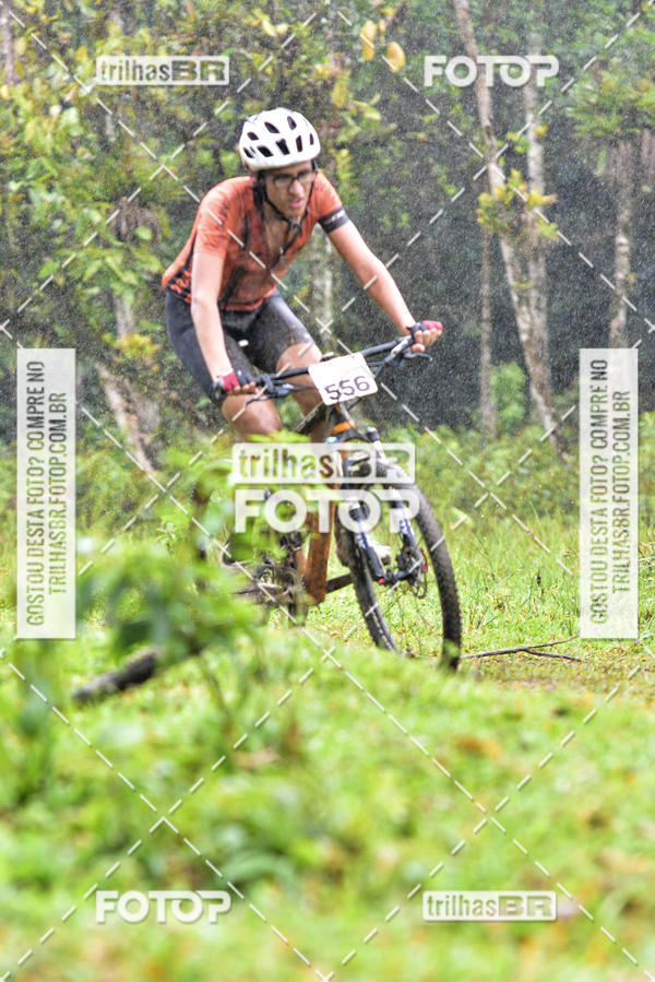 Compra tus fotos del eventoCircuito Soul de Mountain Bike 2017 - Joinville - SC En Fotop