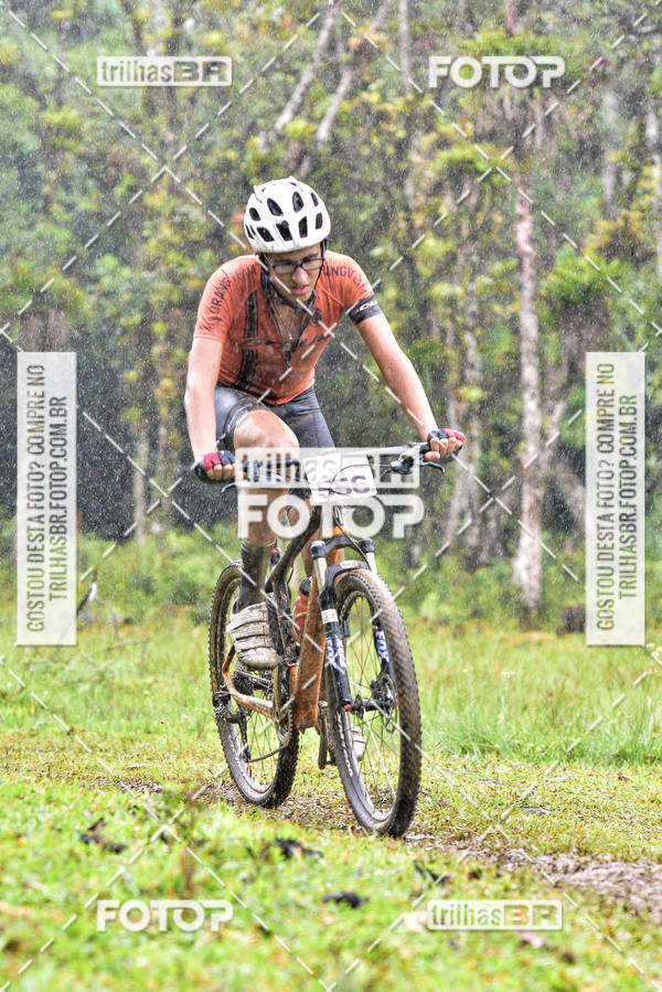 Compra tus fotos del eventoCircuito Soul de Mountain Bike 2017 - Joinville - SC En Fotop