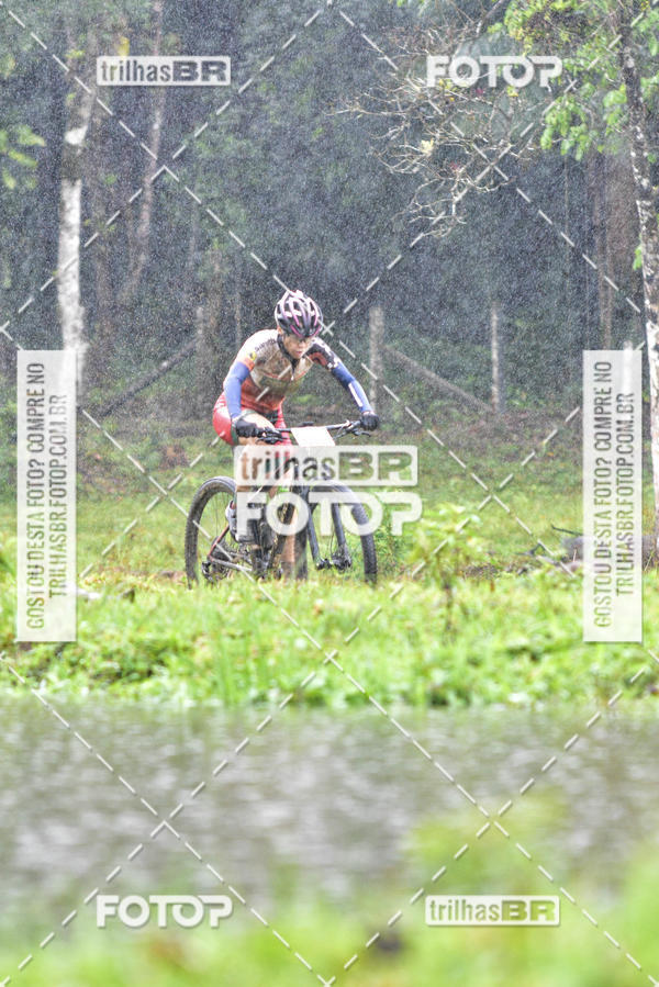 Compra tus fotos del eventoCircuito Soul de Mountain Bike 2017 - Joinville - SC En Fotop