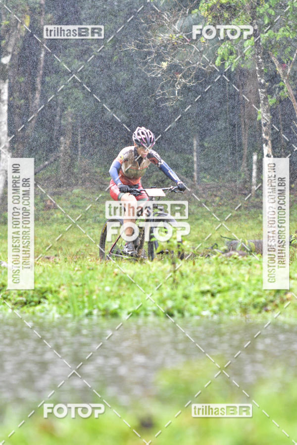Compra tus fotos del eventoCircuito Soul de Mountain Bike 2017 - Joinville - SC En Fotop