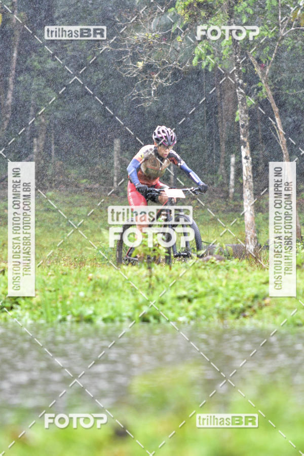 Compra tus fotos del eventoCircuito Soul de Mountain Bike 2017 - Joinville - SC En Fotop
