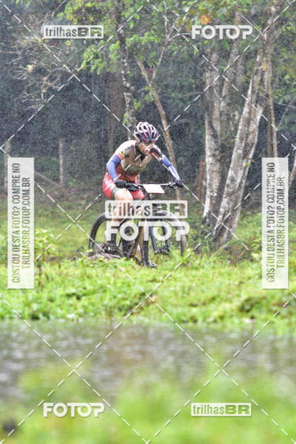 Compra tus fotos del eventoCircuito Soul de Mountain Bike 2017 - Joinville - SC En Fotop