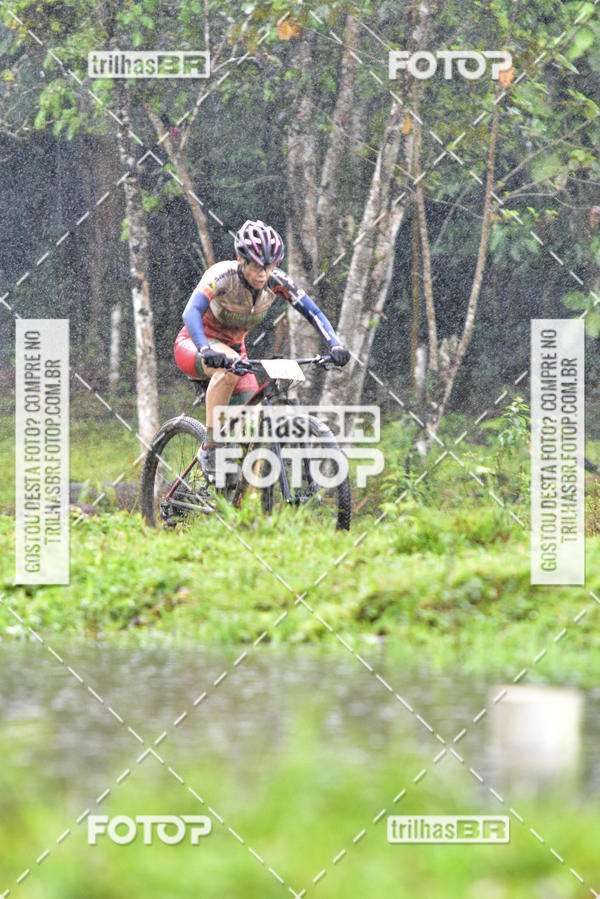 Compra tus fotos del eventoCircuito Soul de Mountain Bike 2017 - Joinville - SC En Fotop