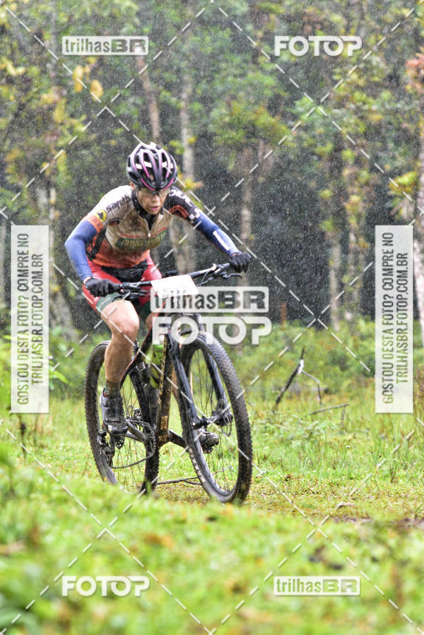 Compra tus fotos del eventoCircuito Soul de Mountain Bike 2017 - Joinville - SC En Fotop