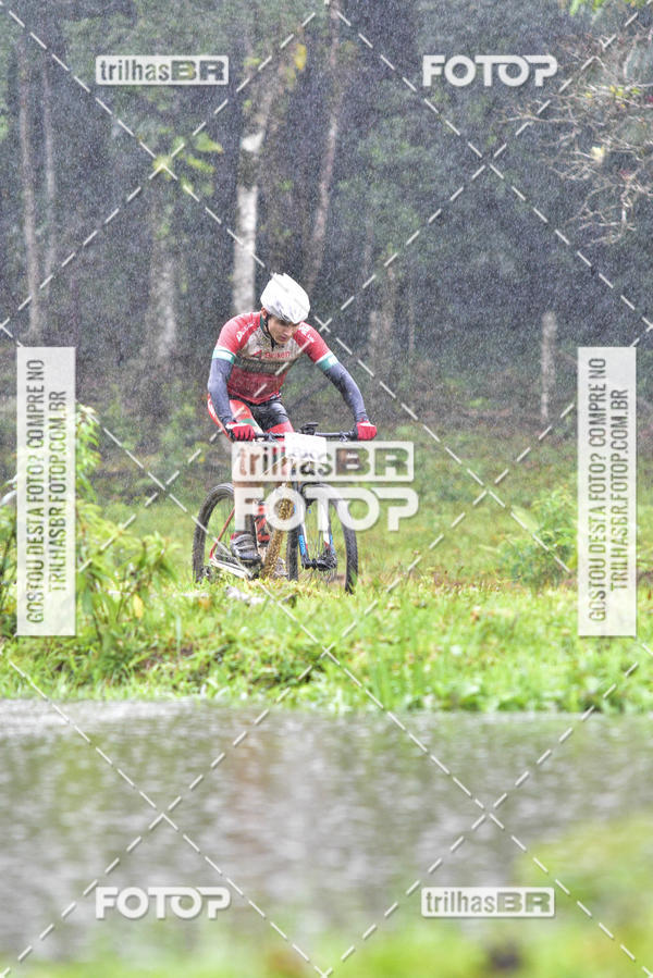 Buy your photos of the eventCircuito Soul de Mountain Bike 2017 - Joinville - SC on Fotop