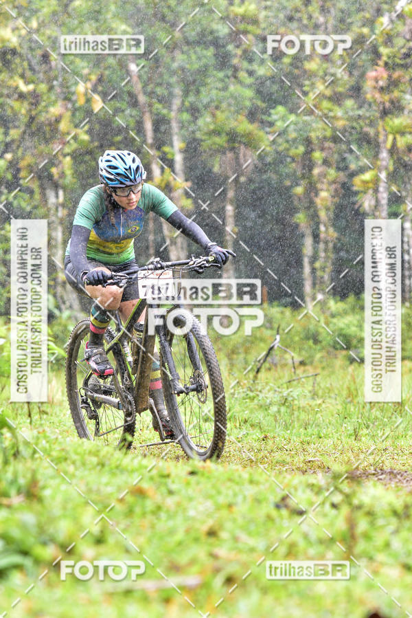 Buy your photos of the eventCircuito Soul de Mountain Bike 2017 - Joinville - SC on Fotop