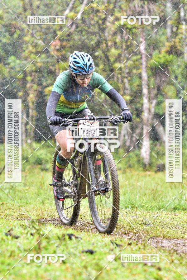 Buy your photos of the eventCircuito Soul de Mountain Bike 2017 - Joinville - SC on Fotop