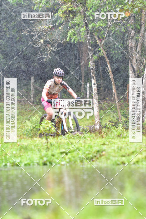Buy your photos of the eventCircuito Soul de Mountain Bike 2017 - Joinville - SC on Fotop