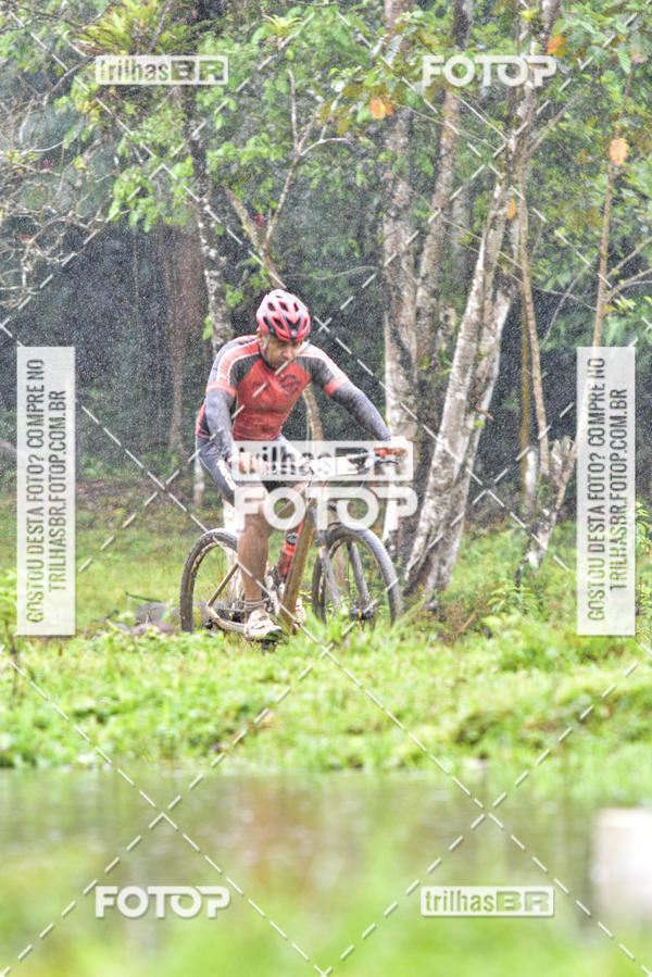 Buy your photos of the eventCircuito Soul de Mountain Bike 2017 - Joinville - SC on Fotop