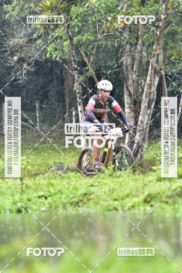 Buy your photos of the eventCircuito Soul de Mountain Bike 2017 - Joinville - SC on Fotop