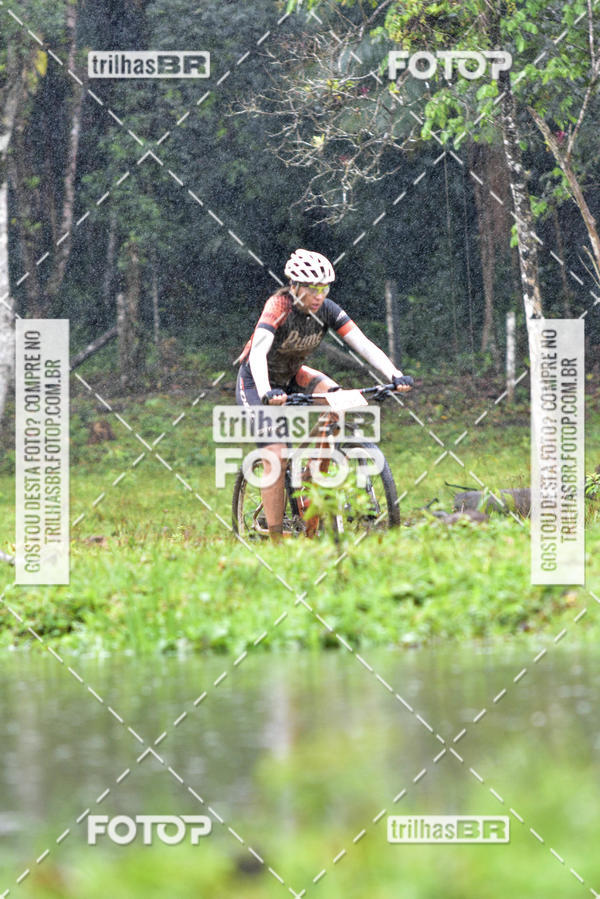 Buy your photos of the eventCircuito Soul de Mountain Bike 2017 - Joinville - SC on Fotop