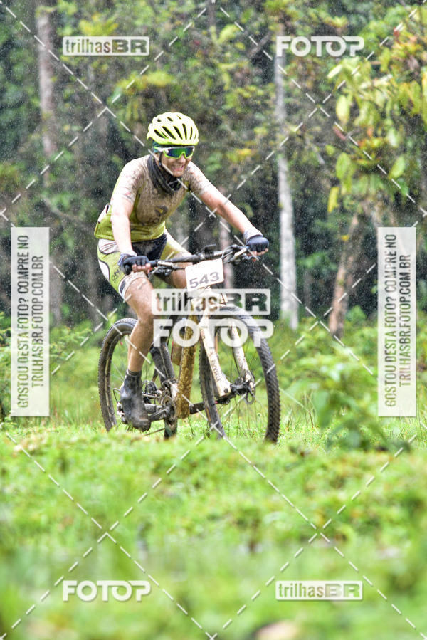 Buy your photos of the eventCircuito Soul de Mountain Bike 2017 - Joinville - SC on Fotop